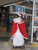 Festive Penguin