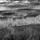 High Moors