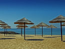 Beach Parasols