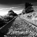 Tracks
