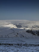 Rosedale 