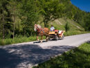 Pieniny National Park 