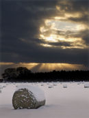 Snow Balls
