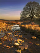 Pockley Moor