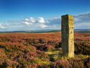 Heather Moors