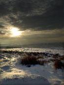 Winter Light