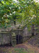 Quiet Corner
