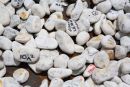 Stones