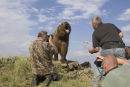 Day 133:
Photographing at Animals of Montana
photo: Debra Wagner