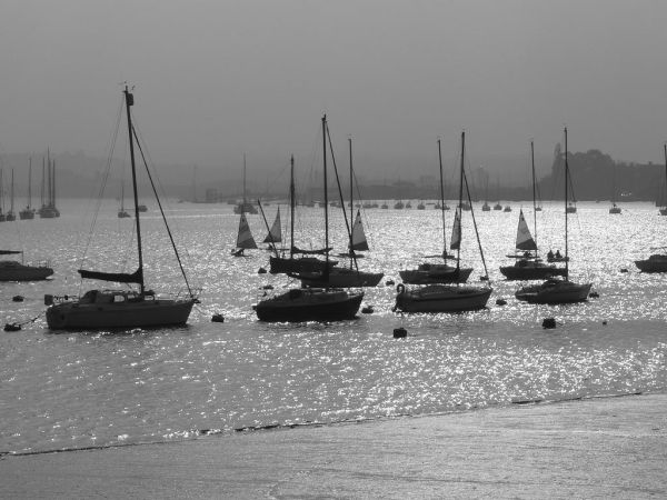 Black & White (10)