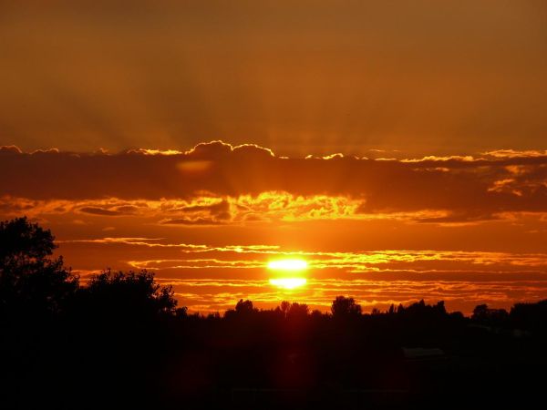 Rays of beauty