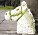 Horses Head