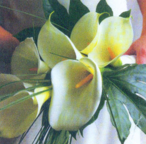 Overarm hand-tied bridal bouquet