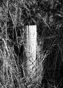 The Last Post...