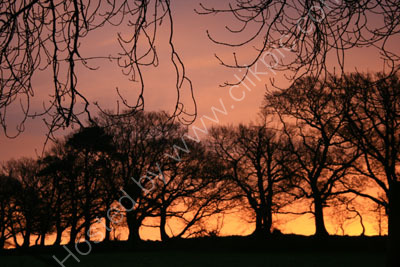 Dartmoor Sunrise at Warrens Cross