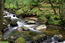 River Plym, Shaugh Prior, Devon