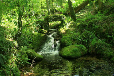 Clapper Bridge, Near Walkhampton, Devon.