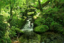 Clapper Bridge, Near Walkhampton, Devon.