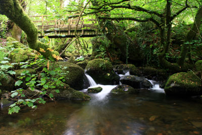 Peter Tavy Coombe Dartmoor