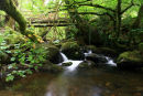 Peter Tavy Coombe Dartmoor