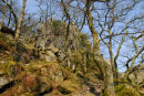 The Dewerstone Dartmoor