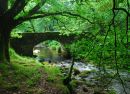 Norsworthy Bridge Burrator Reservoir Dartmoor