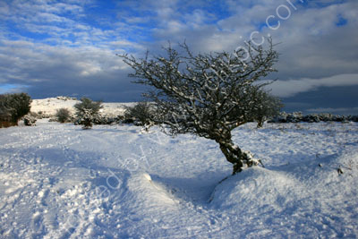 Pew Tor and Snow