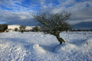 Pew Tor and Snow