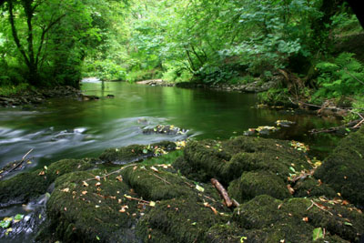 River Walkham, Bedford Bridge, Dartmoor
