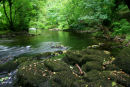 River Walkham, Bedford Bridge, Dartmoor