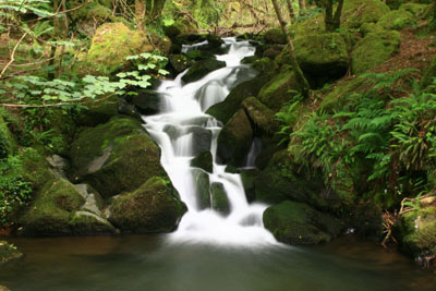 Waterfall, Peter Tavy Coombe Dartmoor