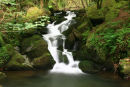 Waterfall, Peter Tavy Coombe Dartmoor