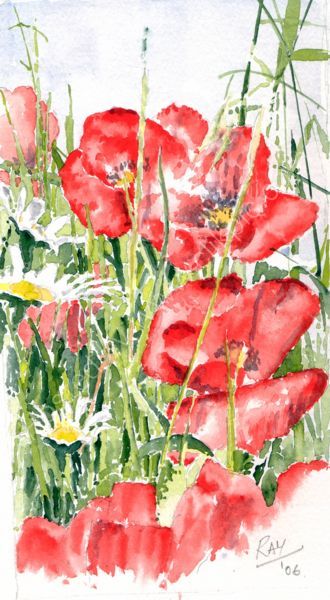 poppies v2 2006