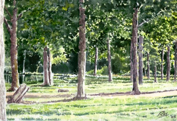 sous bois
