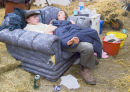 Looking after the cows