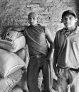 coffee workers