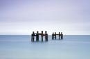 Lepe Dolphins 2