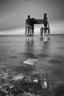 Lepe Dolphins 1