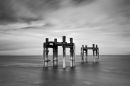 Lepe Dolphins 3
