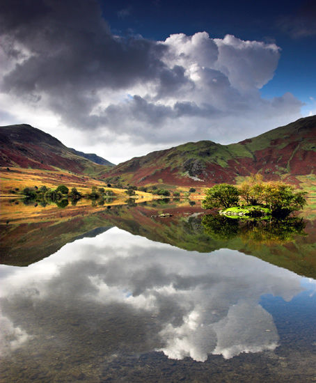 Calm Reflections
