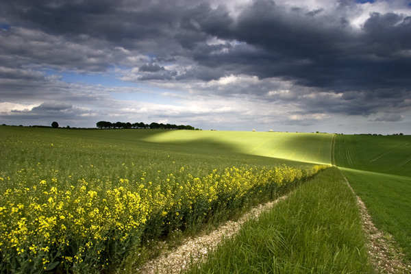 The Light and the Dark, Hampshire

