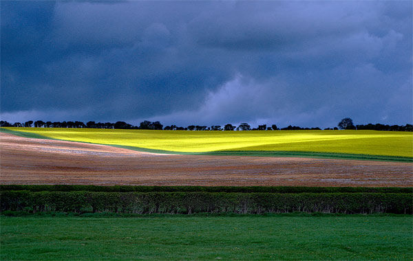 Light before the Storm, Marlborough