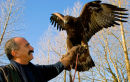 Pedro Soltani of the Golden Eagle Trust, Donegal, Ireland 2010