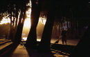 A woman sweeps the street early in the morning in Duschanbe, Tajikistan. 2000.