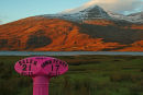 Ben More and Pink Mileage