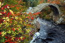Carrbridge in Colour - Cairngorms
