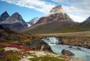 Dronning Marie Dal, Skjodungen Island, East Greenland