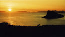 Duntulm Horse - Isle of Skye