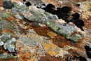 Rock Art - Glen Affric