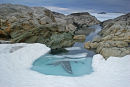 Rock Pool, Umivik Bay.